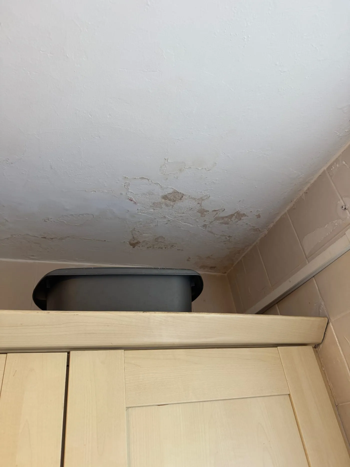 Ceiling damp patch from a leak above
